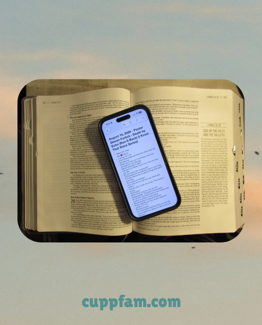 Sermon Notes : Pastor Steven Furtick – Death by Echo